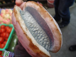 野香蕉可以吃嗎？野香蕉怎么吃？