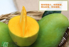 青芒果硬的能吃嗎？青芒果沒熟能吃嗎？