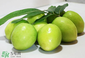 青棗什么時(shí)候上市？青棗什么時(shí)候成熟？