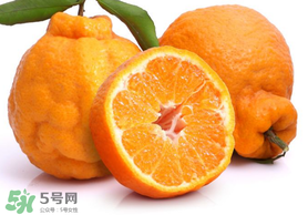丑橘是轉(zhuǎn)基因嗎？丑八怪是轉(zhuǎn)基因的嗎？