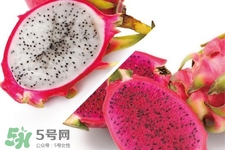 3月份有火龍果吃嗎？三月份可以吃火龍果嗎？