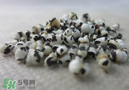 穿山甲下奶怎么吃？穿山甲下奶效果好嗎？