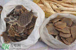 穿山甲下奶怎么吃？穿山甲下奶效果好嗎？
