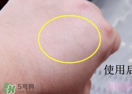 canmake花瓣高光怎么用？canmake花瓣雕刻高光使用方法