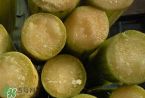 甘蔗要洗嗎？吃甘蔗時要用鹽水洗嗎？