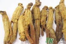 高麗參怎么吃效果最好？高麗參的正確吃法