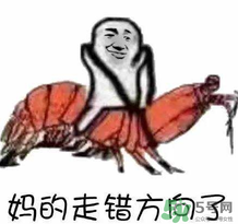 說人皮皮蝦是什么意思？女生叫男生皮皮蝦什么意思？
