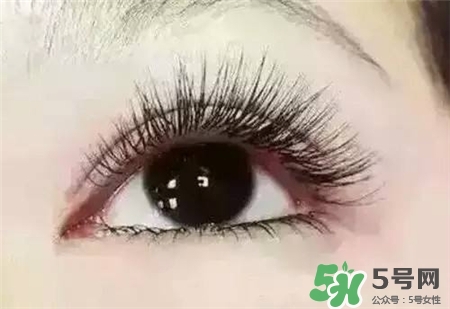 孕睫術(shù)是什么？孕睫術(shù)有用嗎？