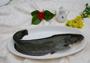 清江魚熱量高嗎？吃清江魚會(huì)胖嗎？
