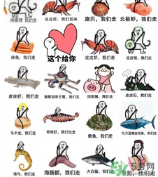 用皮皮蝦罵人什么意思？罵人皮皮蝦什么意思？
