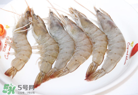 青蝦多少錢(qián)一斤？活青蝦多少錢(qián)一斤？