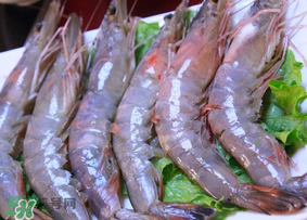 青蝦多少錢(qián)一斤？活青蝦多少錢(qián)一斤？