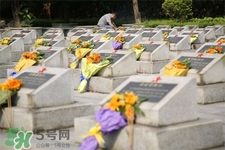 清明節(jié)能出游嗎？清明節(jié)可以出去旅游嗎？