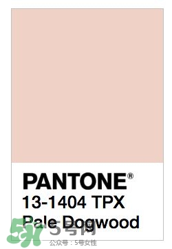 煙熏玫瑰色口紅哪個牌子好？煙熏玫瑰色口紅推薦