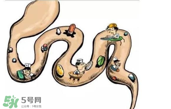 便秘吃什么藥好？便秘吃什么藥最快排便？