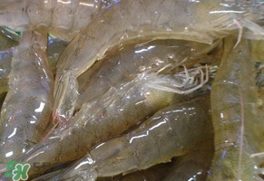 活蝦灌膠水是真的嗎？活蝦灌膠水人吃了會有什么害處？