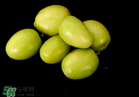 吃青棗可以減肥嗎？減肥可以吃青棗嗎？