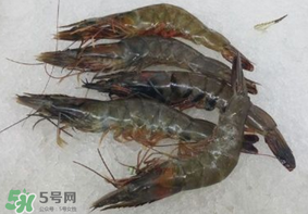 青蝦變黑了還能吃嗎？青蝦為什么變黑？