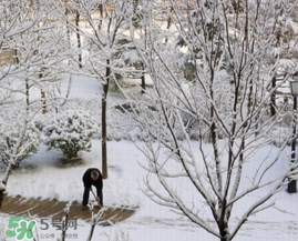 春天下雪意味著什么？春天為什么會下雪？