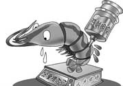 活蝦灌膠水是真的嗎？活蝦灌膠水人吃了會有什么害處？
