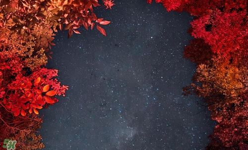 紅棕色是什么顏色？紅棕色口紅試色