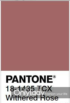 干玫瑰色適合什么膚色？干玫瑰色口紅適合黃皮嗎？