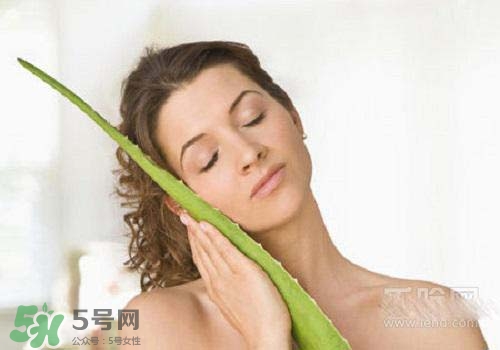 蘆薈涂在臉上發(fā)癢是怎么回事？蘆薈涂在臉上發(fā)癢怎么辦？