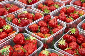 草莓爛了點(diǎn)皮可以吃嗎？草莓表皮發(fā)白是爛了嗎？