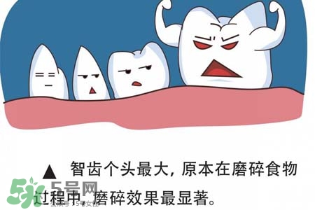 智齒經(jīng)常發(fā)炎怎么辦？智齒反復(fù)發(fā)炎腫痛怎么辦？