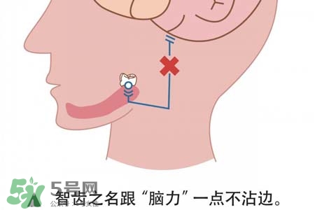 智齒會引起耳鳴嗎？耳鳴跟智齒有關(guān)系嗎？