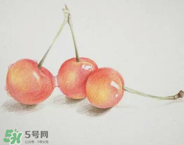 櫻桃有點苦怎么回事？櫻桃有點苦可以吃嗎？
