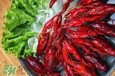 小龍蝦怎樣清洗？小龍蝦怎么洗最干凈？