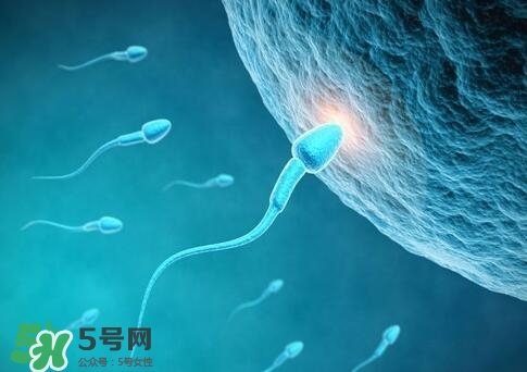如何提高精子質量與成活率？精子質量怎么調理？