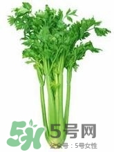 負(fù)卡路里的食物有哪些？負(fù)卡路里食物真的吃不胖嗎？