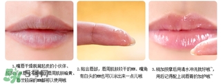 愛麗小屋唇部磨砂膏怎么樣？愛麗小屋唇部磨砂膏和悅詩風(fēng)吟哪個好？