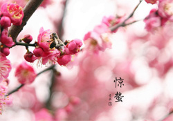驚蟄如何養(yǎng)生？驚蟄前后如何養(yǎng)生？