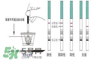 驗孕試紙準嗎？驗孕試紙怎么看求圖解