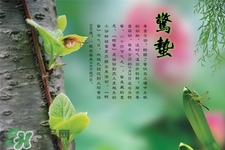 驚蟄節(jié)氣要注意什么？驚蟄節(jié)氣養(yǎng)生注意事項(xiàng)