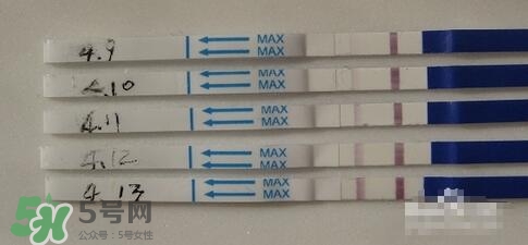 驗孕試紙準嗎？驗孕試紙怎么看求圖解
