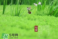 驚蟄如何養(yǎng)生？驚蟄前后如何養(yǎng)生？