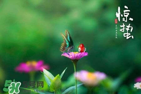 驚蟄如何養(yǎng)生？驚蟄前后如何養(yǎng)生？