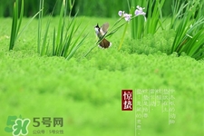 驚蟄打小人什么時間最好？驚蟄打小人幾點鐘合適？