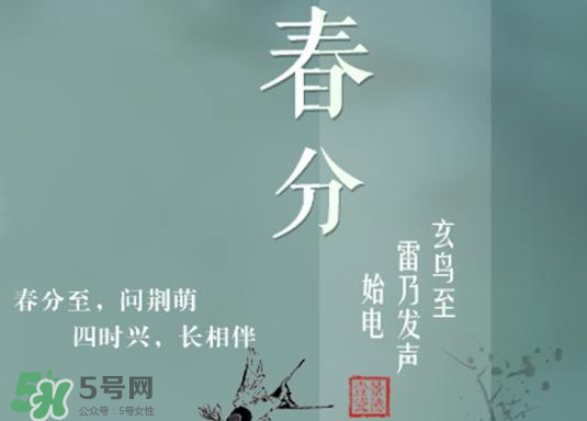 春分種什么菜？春分適合種什么菜？