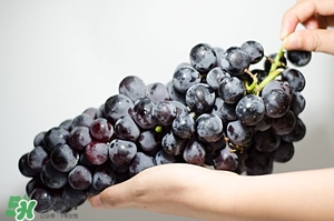 吃水果的好處 多吃水果的好處 吃水果的好處 多吃水果的好處