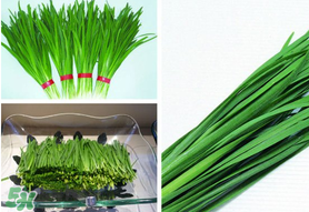 驚蟄前后可以種什么？驚蟄前后種什么蔬菜？