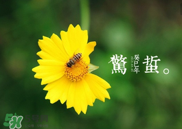 驚蟄前后可以種什么？驚蟄前后種什么蔬菜？