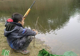 驚蟄能釣魚嗎？驚蟄釣什么魚好？