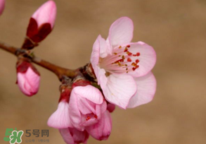 2017年春分是什么時(shí)候？2017年春分是幾月幾號(hào)？