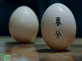 春分為什么能豎蛋？春分豎蛋原理