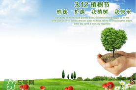 植樹節(jié)為什么要種樹？植樹節(jié)種樹的意義